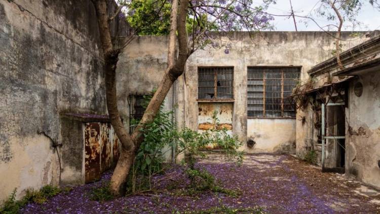 Recuperan la casa de la infancia de María Elena Walsh como espacio de cultura