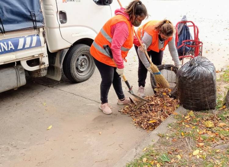 Campaña Hojarasca 2021