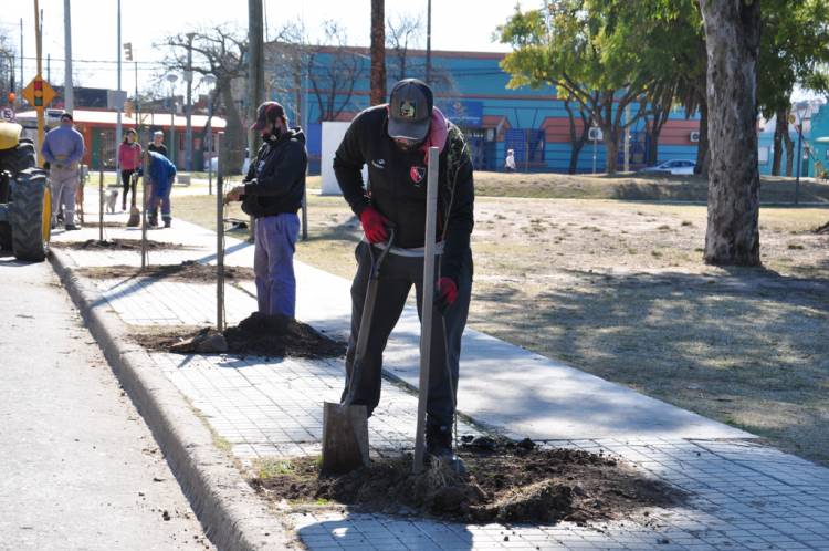 El municipio continúa con el Plan de Reforestación 