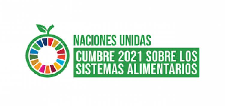 Fernández participa de la Cumbre de las Naciones Unidas sobre Sistemas Alimentarios 2021