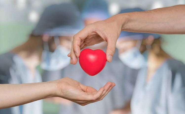 En la provincia aumentó la donación de órganos y tejidos durante el 2021