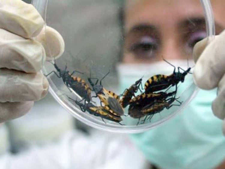 Se suman 10 brigadas a la lucha contra el mal de Chagas en Córdoba