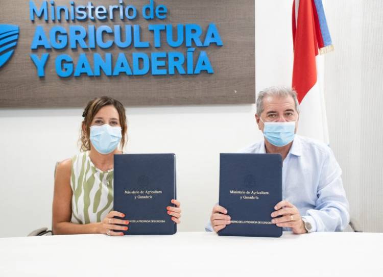Apoyarán a productores del interior para que puedan participar en Ferias Populares