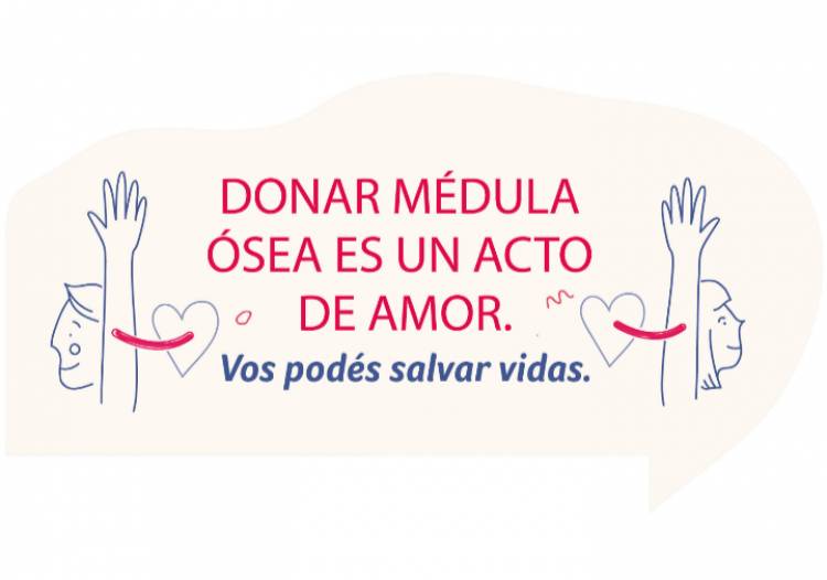 Día de la Donación de Médula Ósea: invitan a inscribirse como donantes