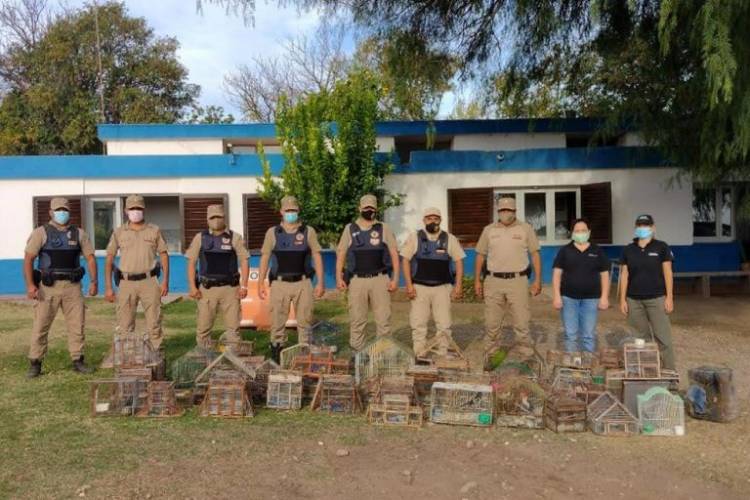 Recuperan 106 aves que estaban en cautiverio en el interior cordobés
