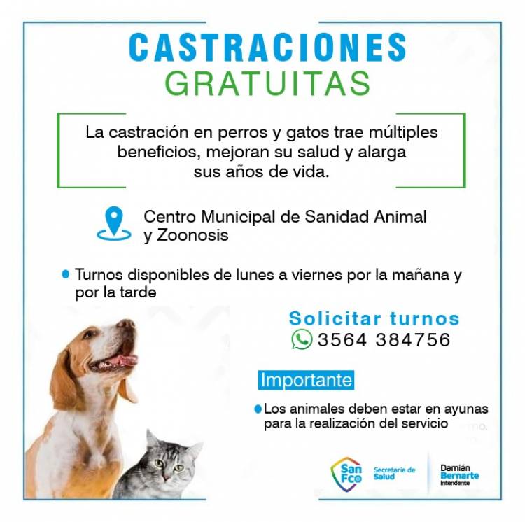 Castraciones de perros y gatos, turnos disponibles 