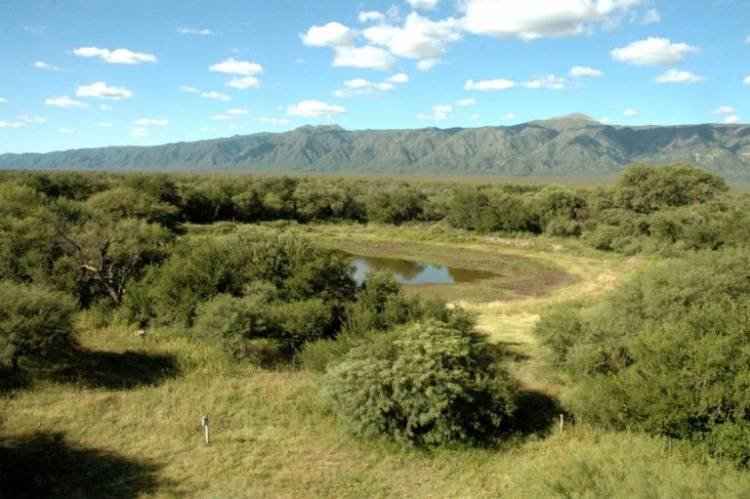 Provincia abrió convocatoria para el acceso al pago por servicios ambientales