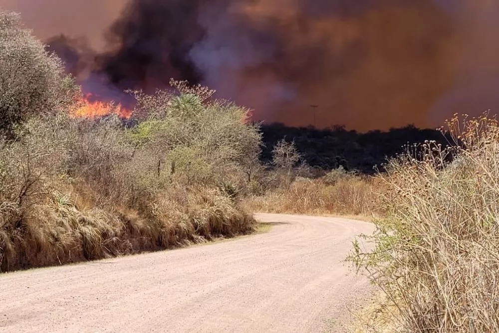 Incendios: Provincia activó el Fondo de Desastre para asistir a damnificados