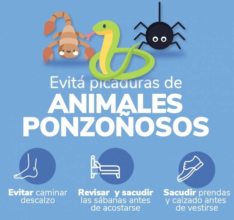 Recomendaciones para prevenir picaduras de animales ponzoñosos