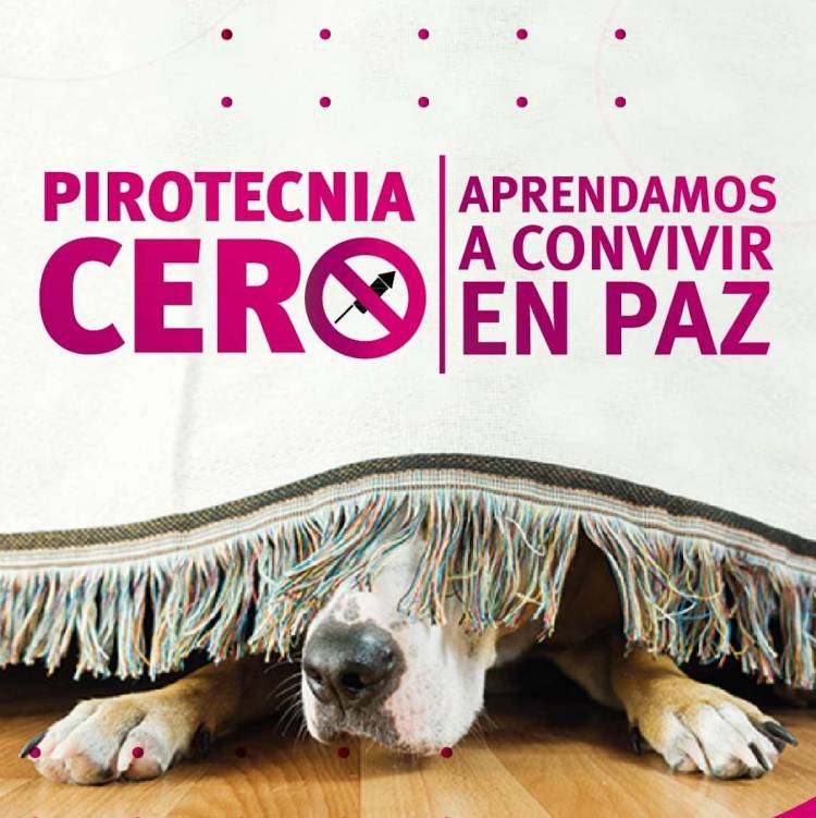  En más de 150 localidades cordobesas no se podrán vender artículos de pirotecnia