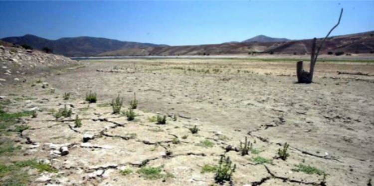 Por la grave sequía en Córdoba elevan pedido de emergencia agropecuaria