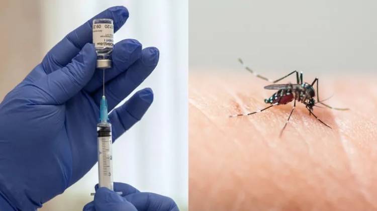 Anmat aprobó el uso de una vacuna japonesa contra el dengue