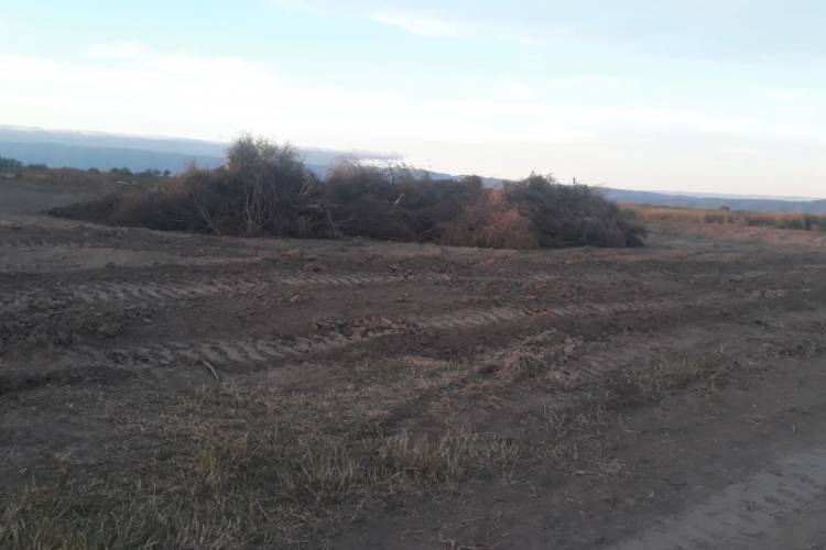 Policía Ambiental paralizó un desmonte en la localidad de San Vicente