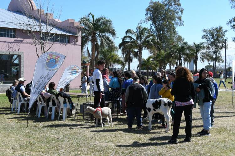 Más de 1000 personas participaron del 26º Encuentro recreativo y deportivo para personas con discapacidad