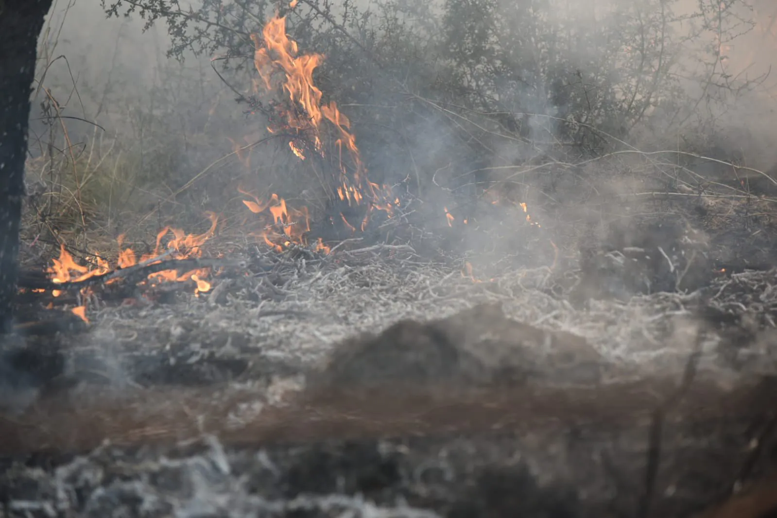 Cerca de 40 familias fueron evacuadas por el incendio en Villa Carlos Paz