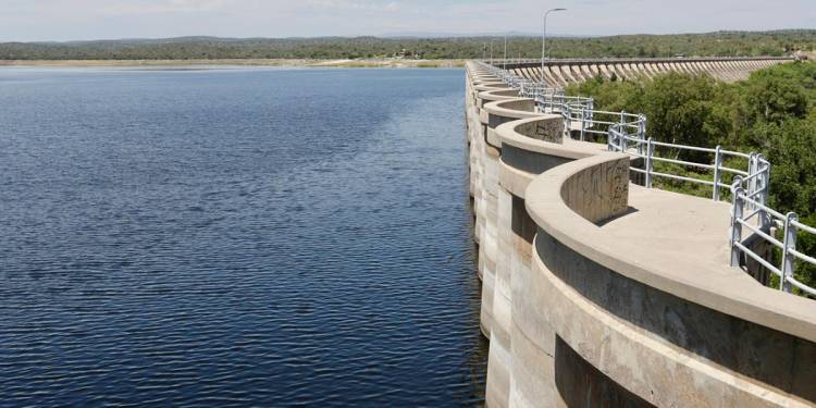 Mortandad de peces: se determinó que la causa fue una disminución del oxígeno, provocado por las altas temperaturas