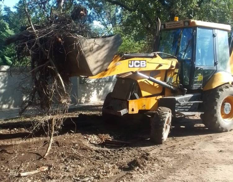 Continúan las tareas de desmalezamiento y limpieza de espacios verdes