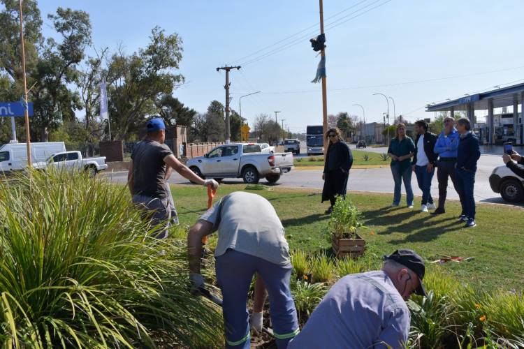 Ya luce la primera producción de plantines a cargo de internos del Servicio Penitenciario en San Francisco