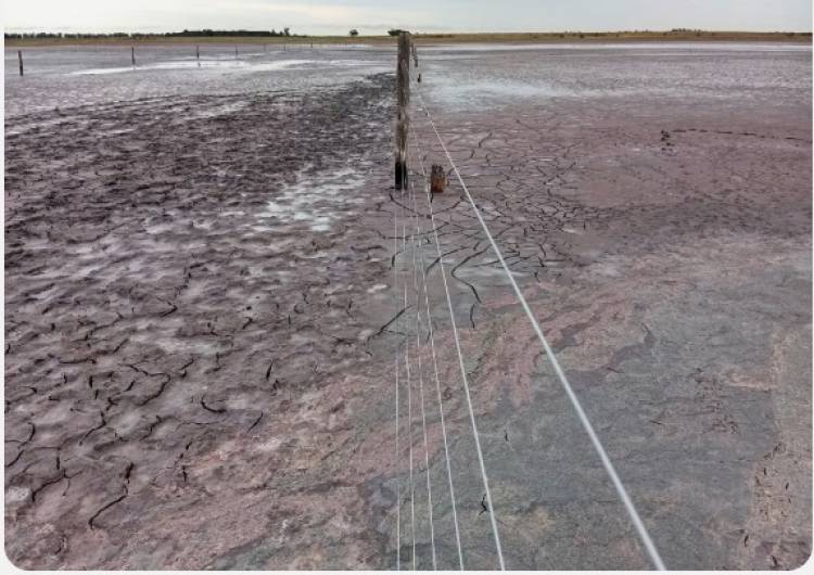 Por las altísimas temperaturas y escasas lluvias se secó una laguna en el sur cordobés