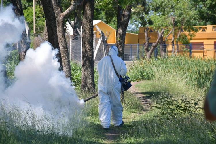 Continúan los trabajos preventivos contra el dengue