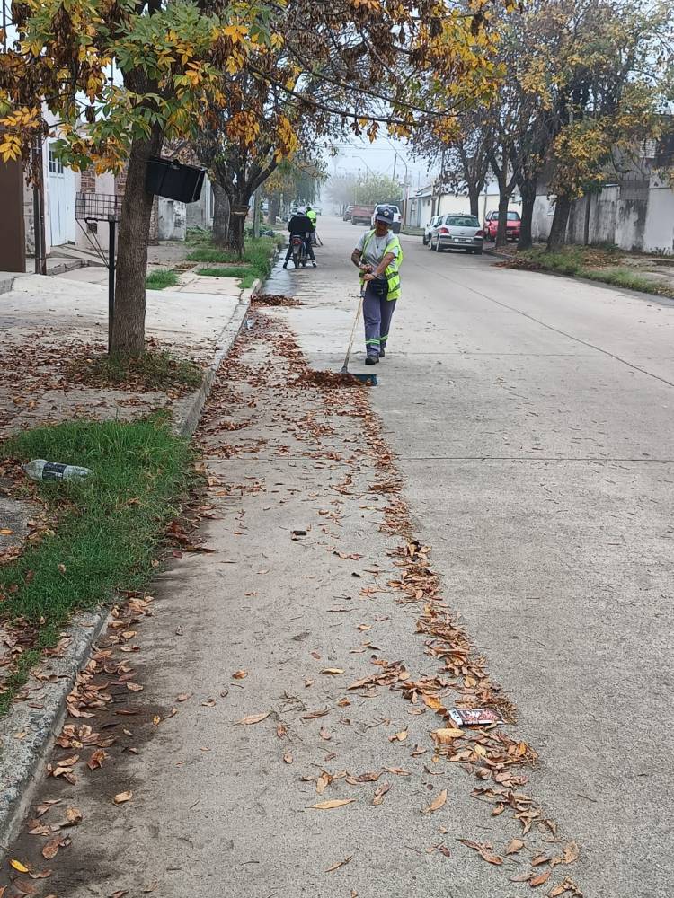 El municipio avanza con la campaña de recolección de hojas en todos los barrios