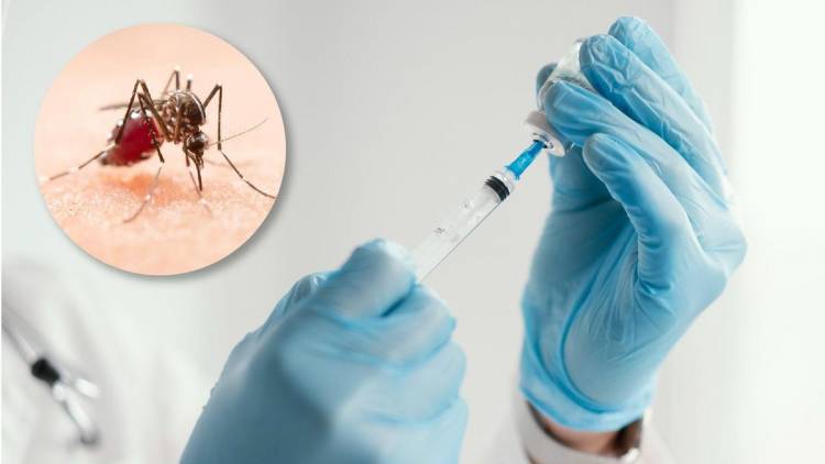 Salud amplía la vacunación contra el dengue, ¿dónde vacunarse en San Francisco?