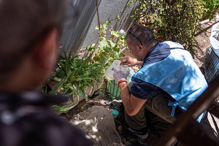 Dengue: Recomendaciones para eliminar posibles criaderos de mosquitos