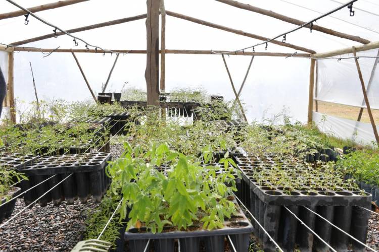 San Francisco continúa trabajando en materia ambiental con políticas sostenidas y acciones concretas