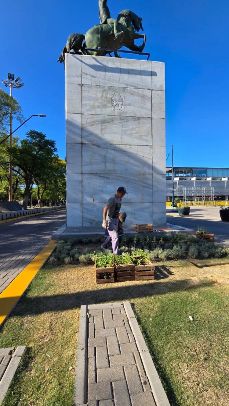 San Francisco inicia el año con remplazo de plantas para embellecer la ciudad
