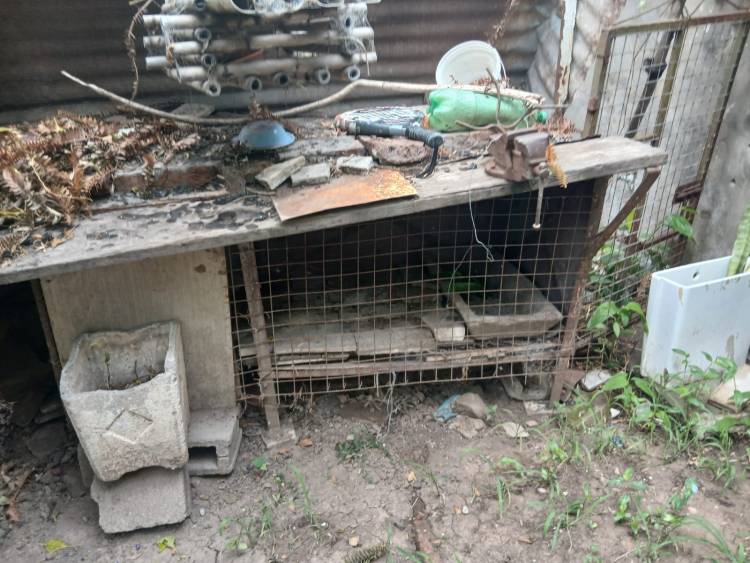Tras varios días de lluvia el municipio recuerda la importancia del descacharreo domiciliario