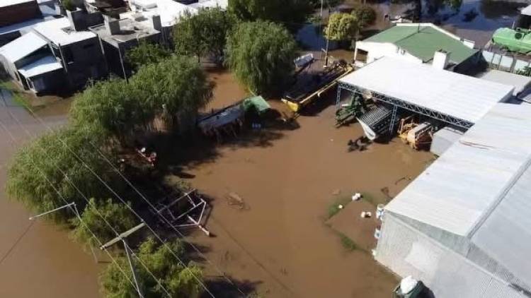 El municipio de San Francisco se sumó a colaborar con Colonia Marina