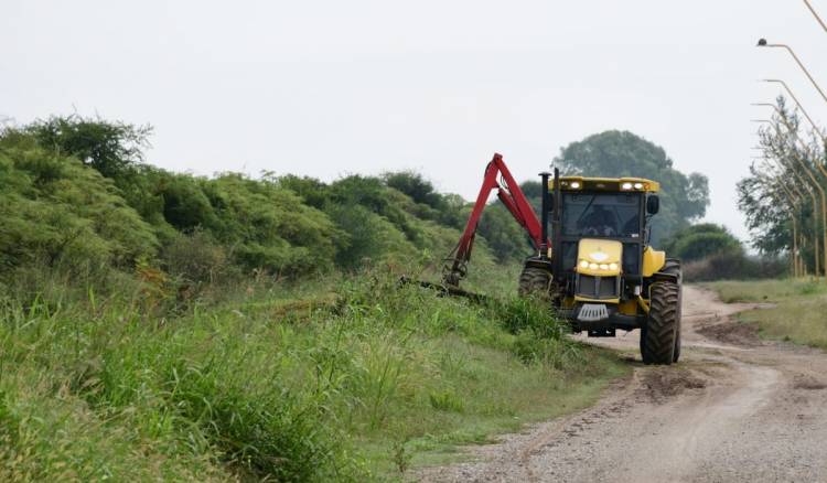 Continúan las tareas de limpieza y mantenimiento de espacios verdes