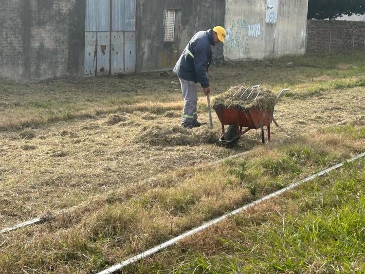 Siguen las tareas de mantenimiento en el FFCC Belgrano y el chipeado de ramas
