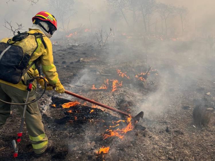 Córdoba: El riesgo de incendios es muy alto