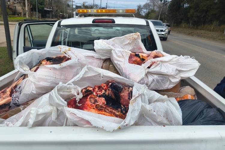 Departamento Colón: decomisaron 370 kilos de carne durante controles en Mendiolaza
