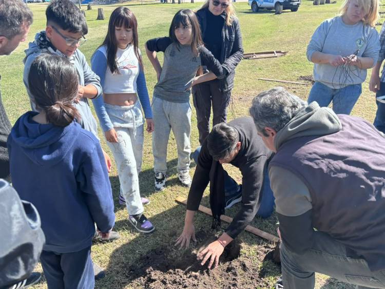 Se plantaron 50 ejemplares nuevos en el Polideportivo Municipal
